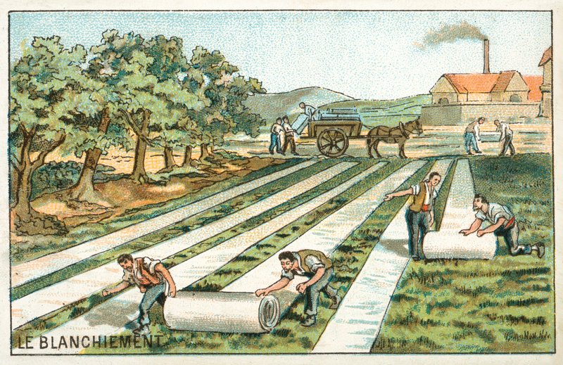 Bělení (chromolitho) od French School