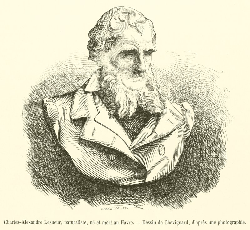 Charles-Alexandre Lesueur, přírodovědec, narozen a zemřel v Le Havre (rytina) od French School