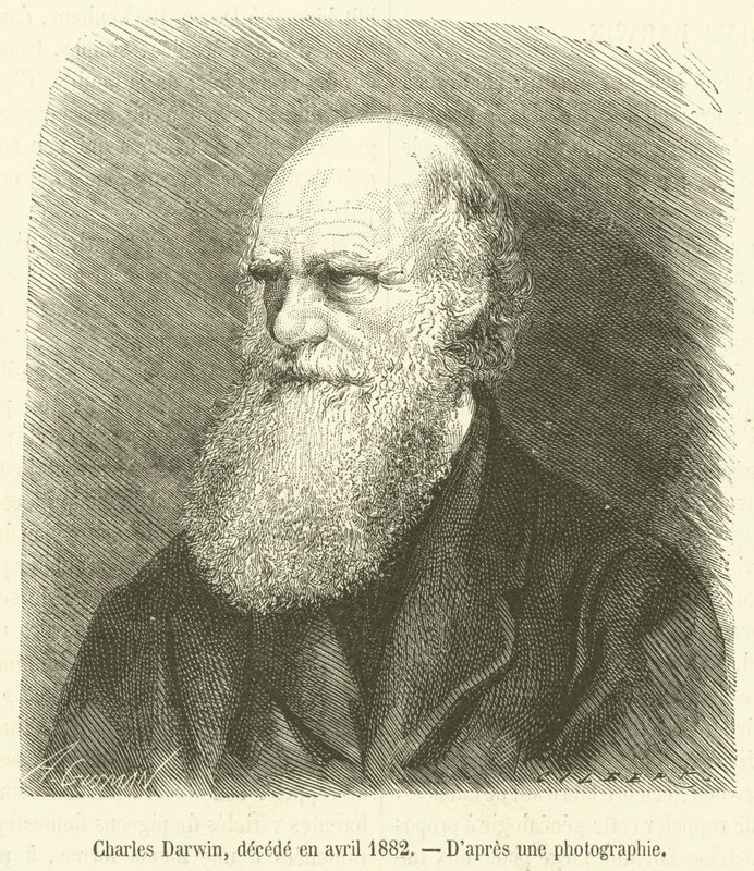 Charles Darwin, decede en avril 1882 (rytina) od French School