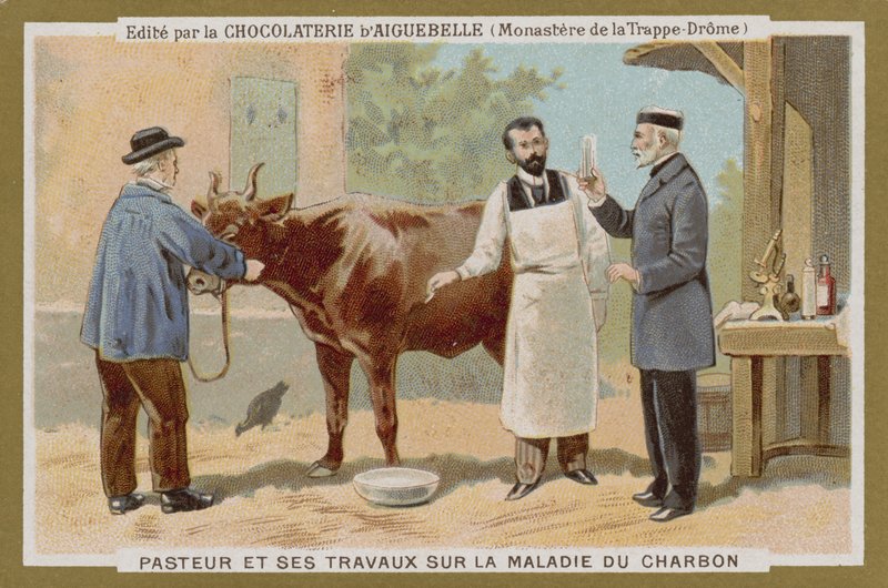 Obchodní karta Chocolat dAiguebelle od French School