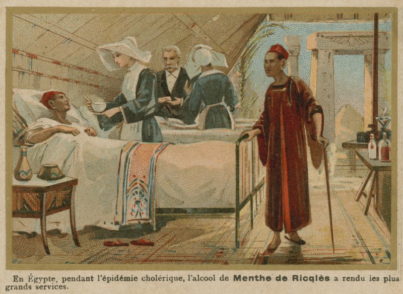 Epidemie cholery v Egyptě od French School