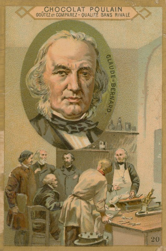 Claude Bernard, obchodní karta Chocolat Poulain od French School
