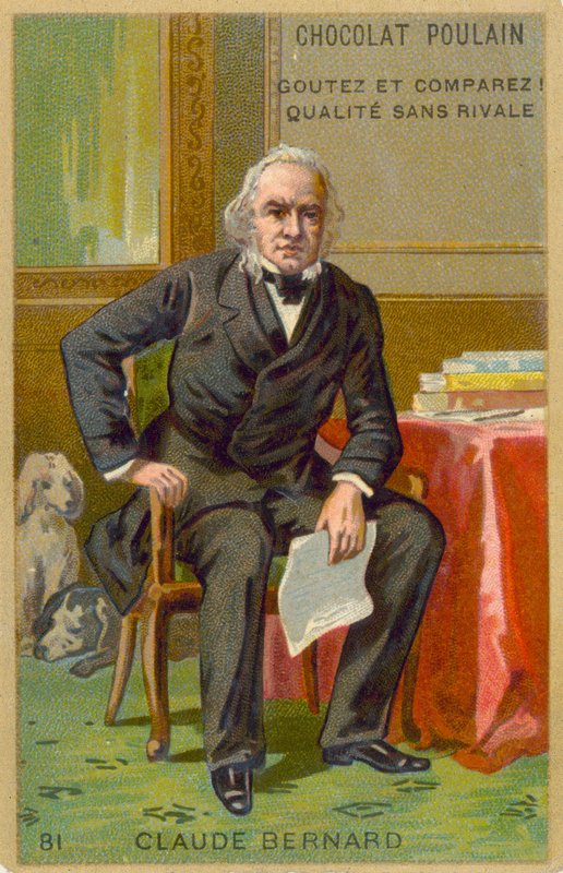 Claude Bernard, francouzský fyziolog od French School