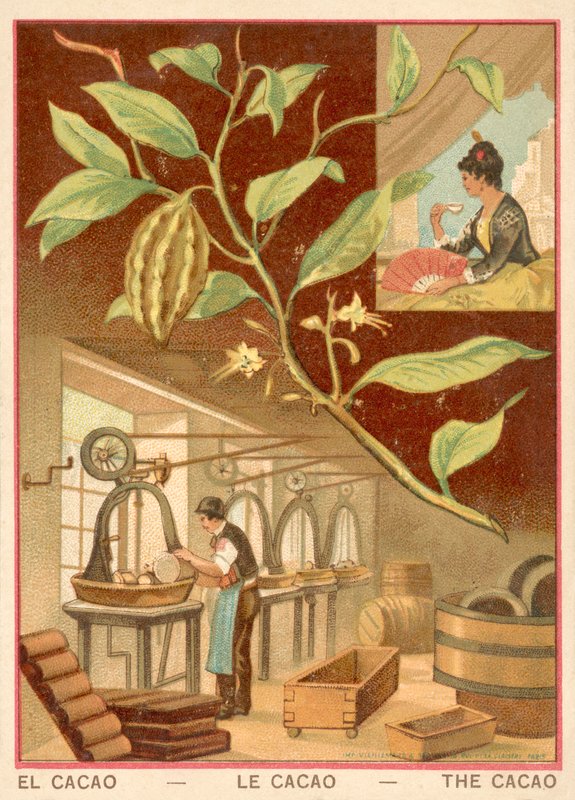 Kakao (chromolitho) od French School