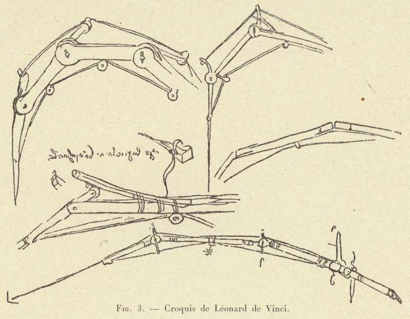 Croquis de Leonard de Vinci od French School