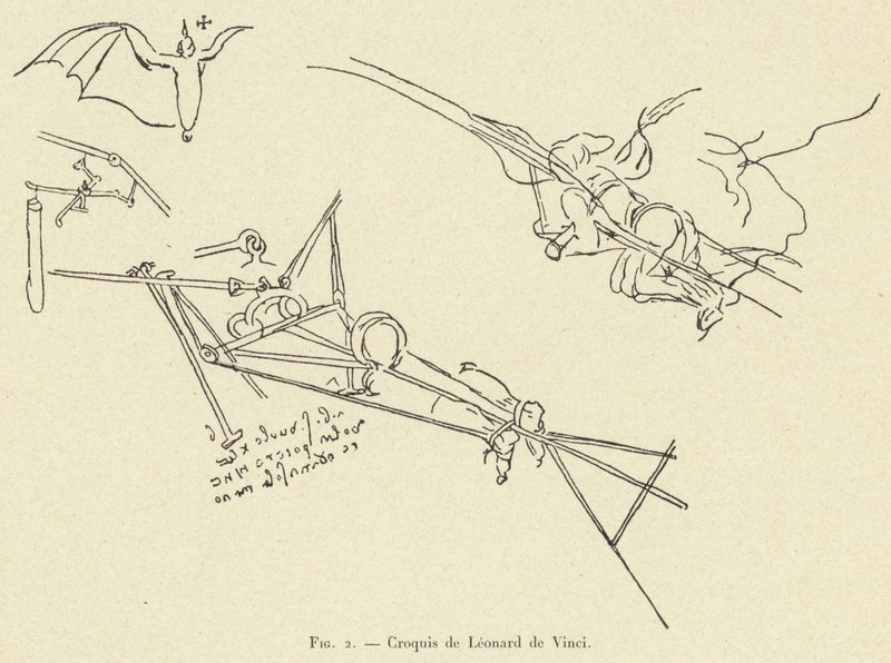 Croquis de Leonard de Vinci od French School