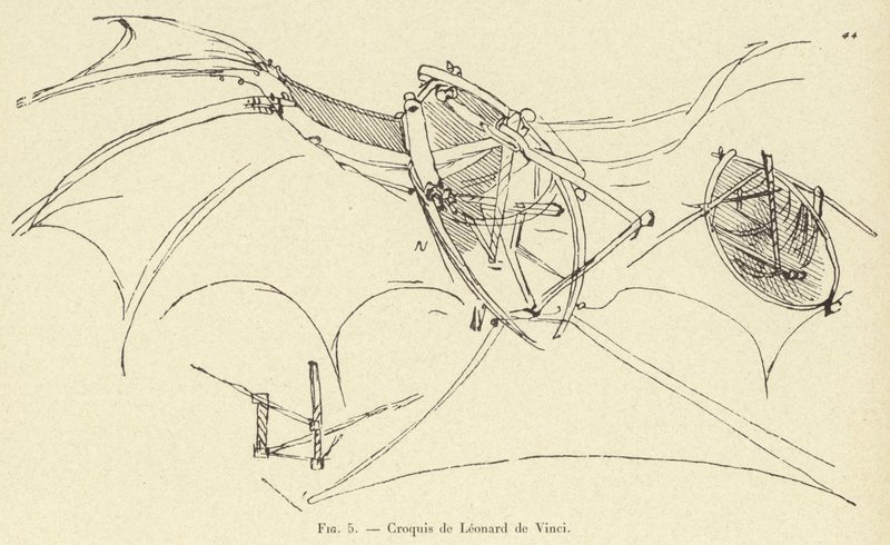 Croquis de Leonard de Vinci od French School