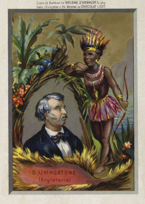 David Livingstone , skotský misionář a průzkumník od French School