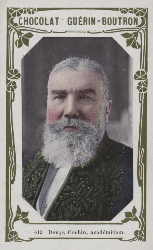 Denys Cochin, akademik (barevné foto) od French School