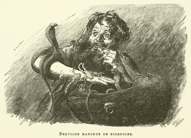 Dervish Eater Of Scorpions (rytina) od French School