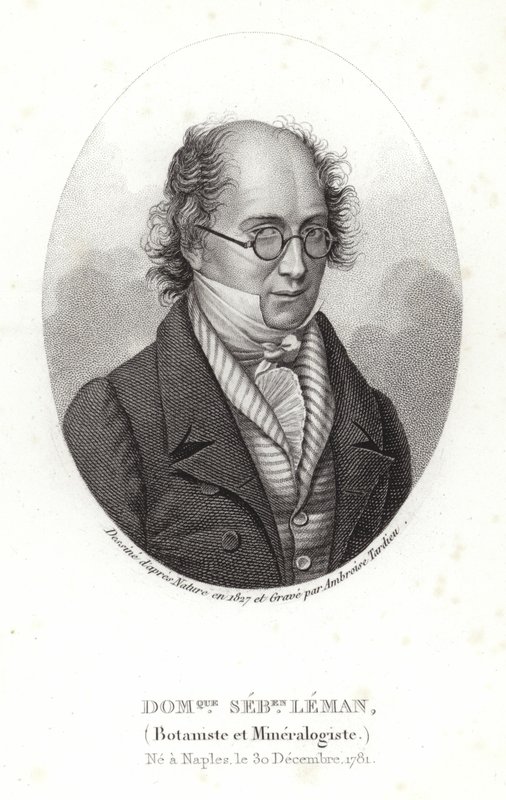 Dominique Sebastion Leman od French School