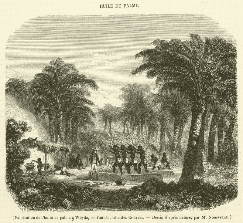 Výroba palmového oleje ve Whyda, Guinea, Slave Coast (rytina) od French School