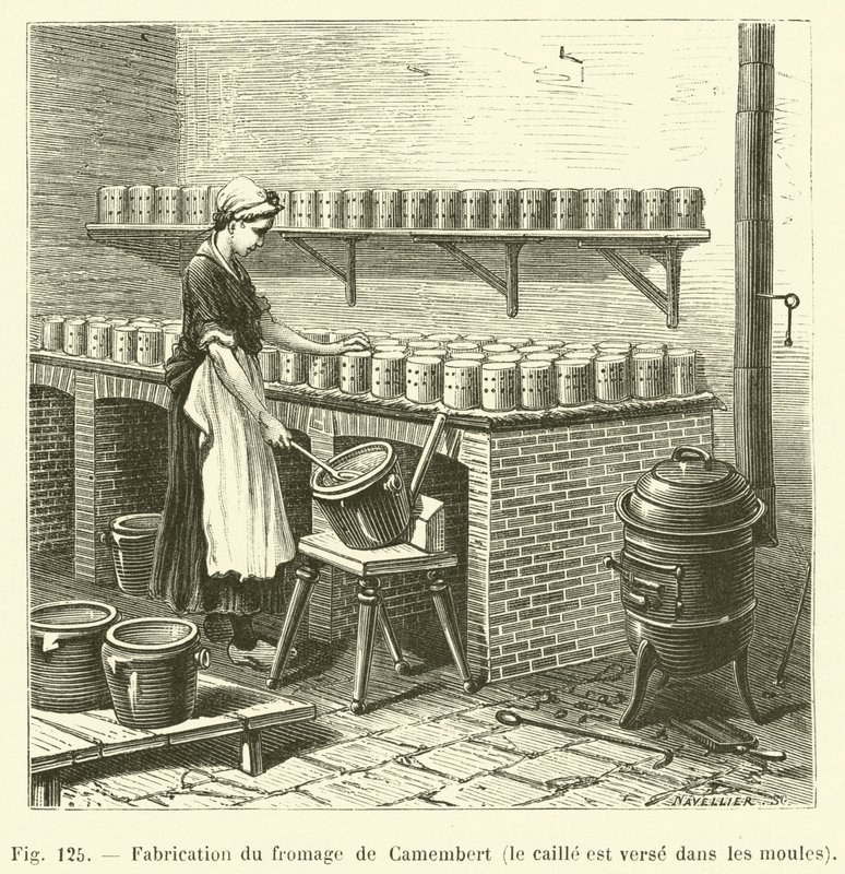 Výroba sýra camembert, křepelka se nalévá do forem (rytí) od French School