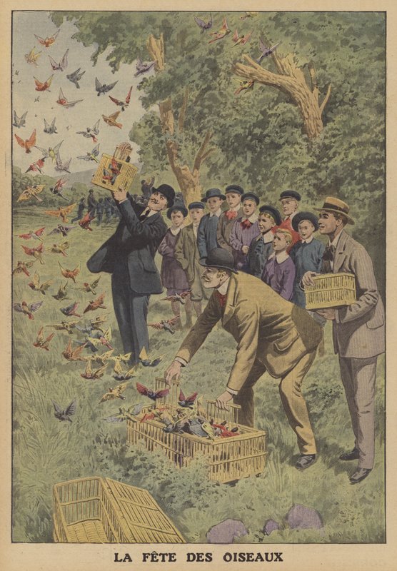 Festival ptáků v Belgii (color litho) od French School