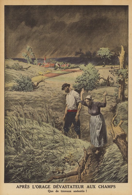 Pole zdevastovaná bouřkou ve Francii (barva litho) od French School