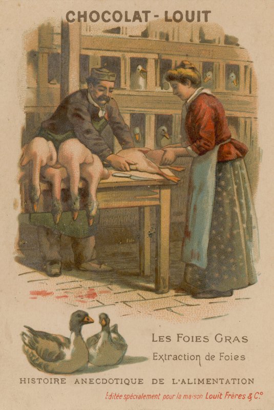 Foie gras od French School