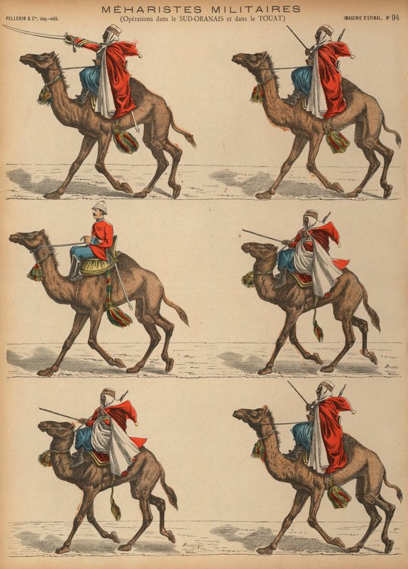 Francouzská armáda Meharistes (velbloudí kavalérie) v Alžírsku (barevná rytina) od French School