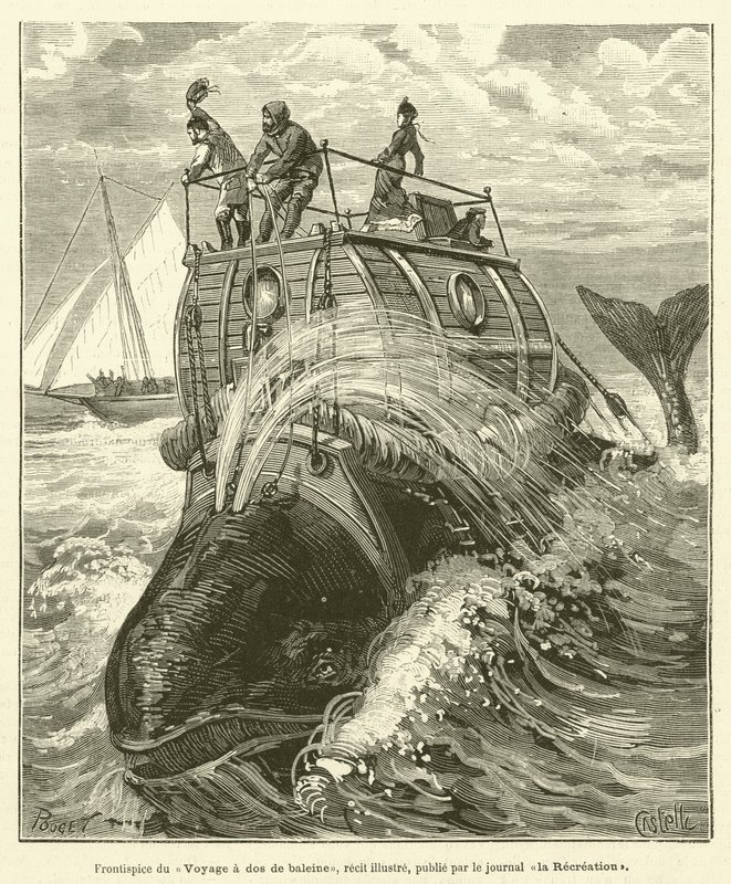 Frontispiece of the Voyage na hřbetě velryby, ilustrovaný příběh, publikoval noviny La Recreation (rytina) od French School