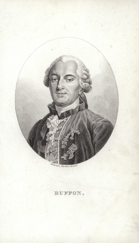 Georges-Louis Leclerc od French School