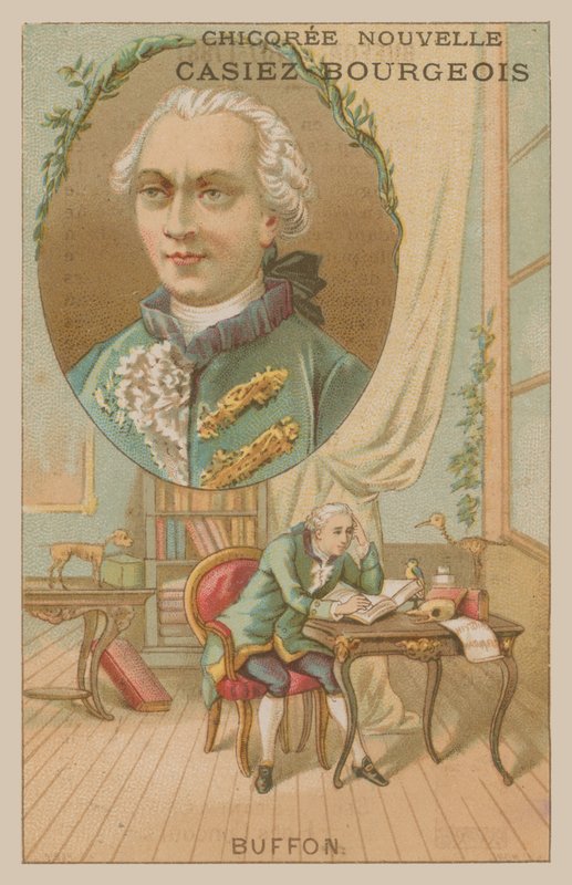 Georges-Louis Leclerc, Comte de Buffon, francouzský vědec a spisovatel 18. od French School