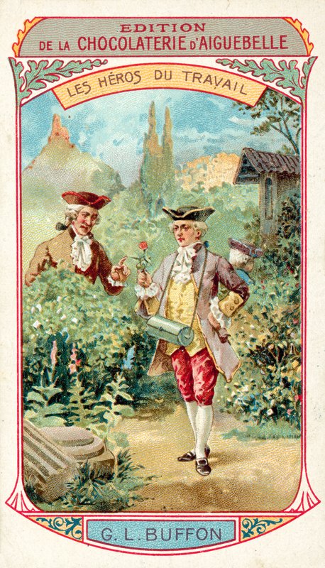 Georges-Louis Leclerc, Comte de Buffon, francouzský přírodovědec (chromolitho) od French School