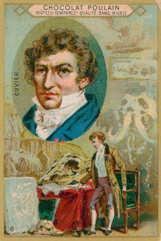 Georges cuvier od French School