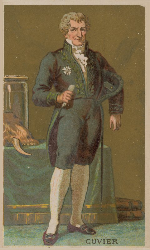 Georges Cuvier , francouzský přírodovědec a zoolog (1769-1832) od French School