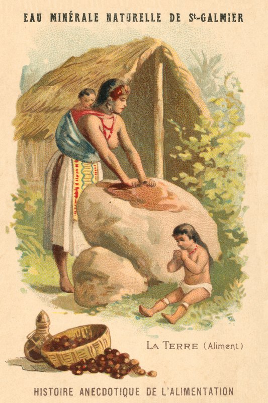 Mleté ořechy (chromolitho) od French School
