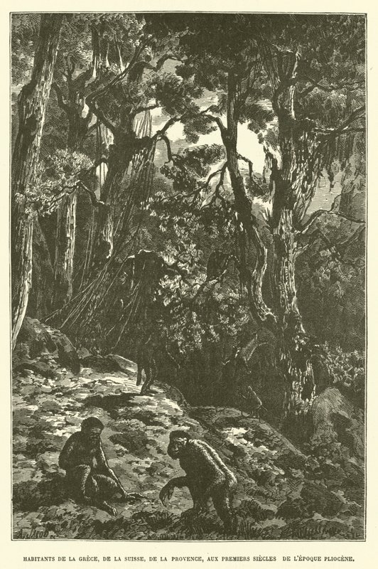 Obyvatelé Řecka, Švýcarska, Provence, v prvních stoletích období pliocénu (rytina) od French School