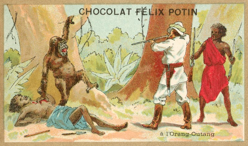 Lov orangutanů (chromolitho) od French School