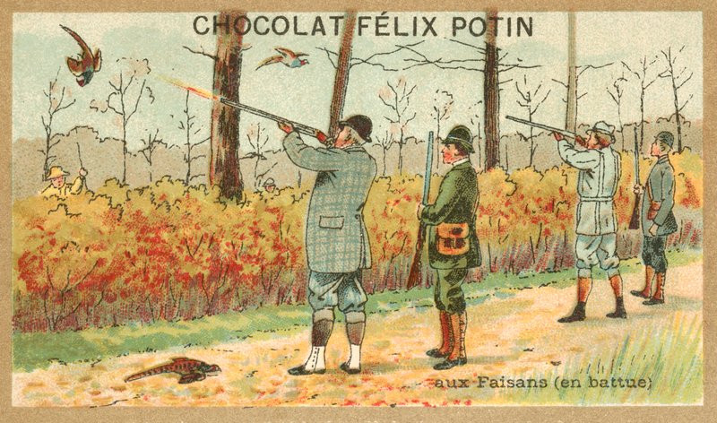 Lovecký bažant (chromolitho) od French School