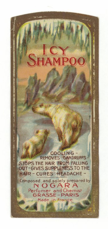 Značka Icy Shampoo, Nogara od French School