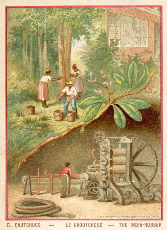 indický kaučuk (chromolitho) od French School
