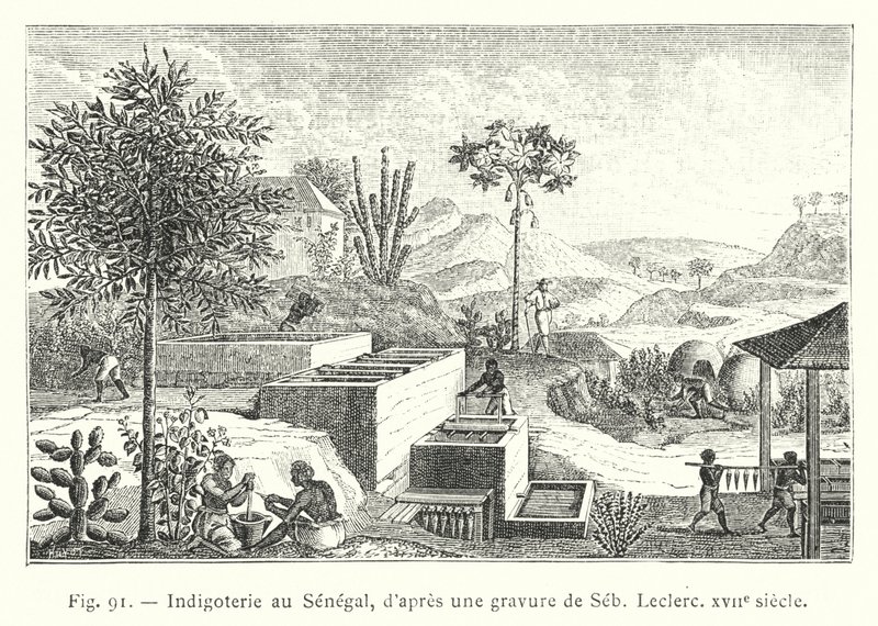 Indigoterie v Senegalu, podle rytiny Seb, Leclerc, 17. století (rytina) od French School