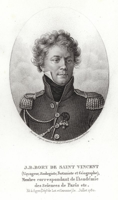 Jean-Baptiste Bory ze Saint-Vincent od French School