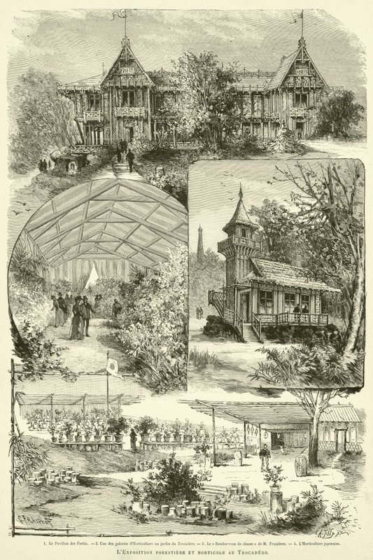 Lesnická a zahradnická výstava na Trocaderu (rytina) od French School