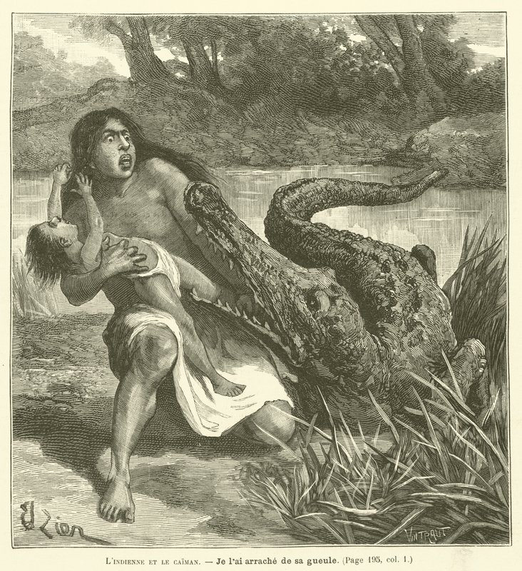 Indián a kajman (rytina) od French School