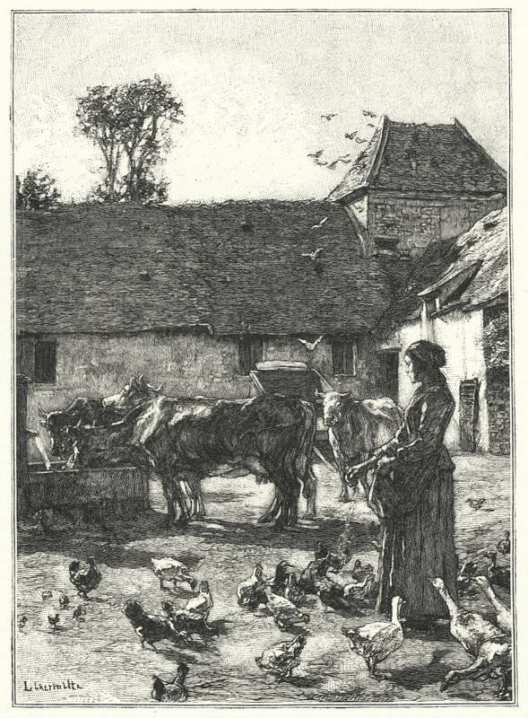Farmyard (rytina) od French School