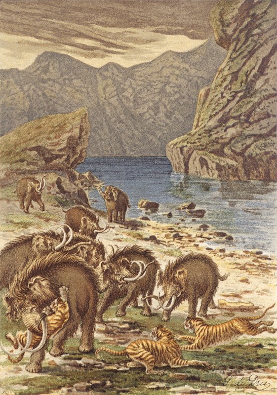 Francie před člověkem, mamuti a obří kočky (barevná litografie) od French School