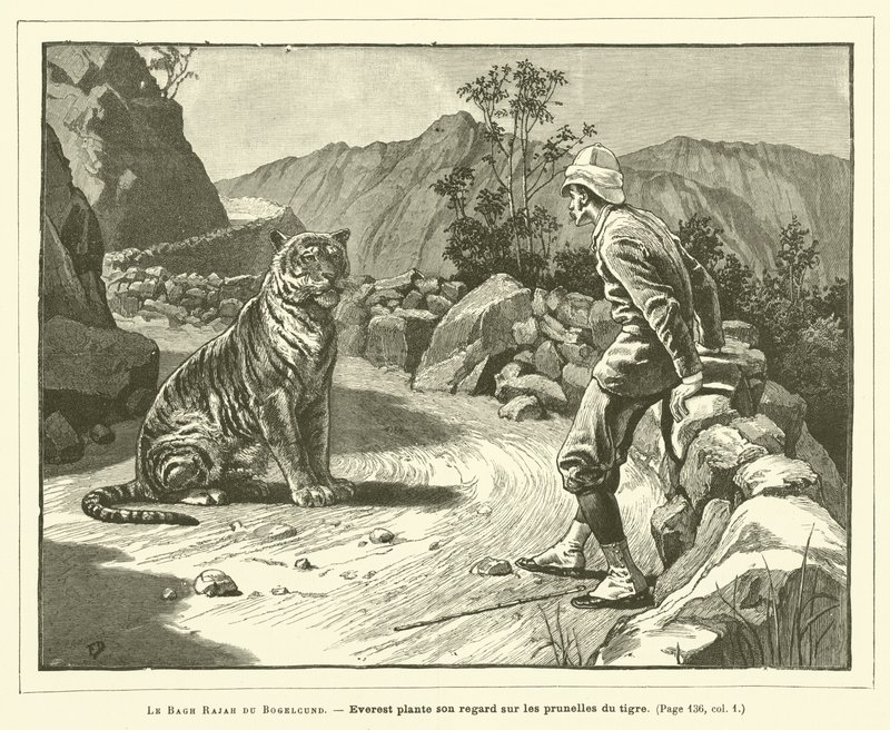 Le Bagh Rajah Du Bogelcund (rytina) od French School