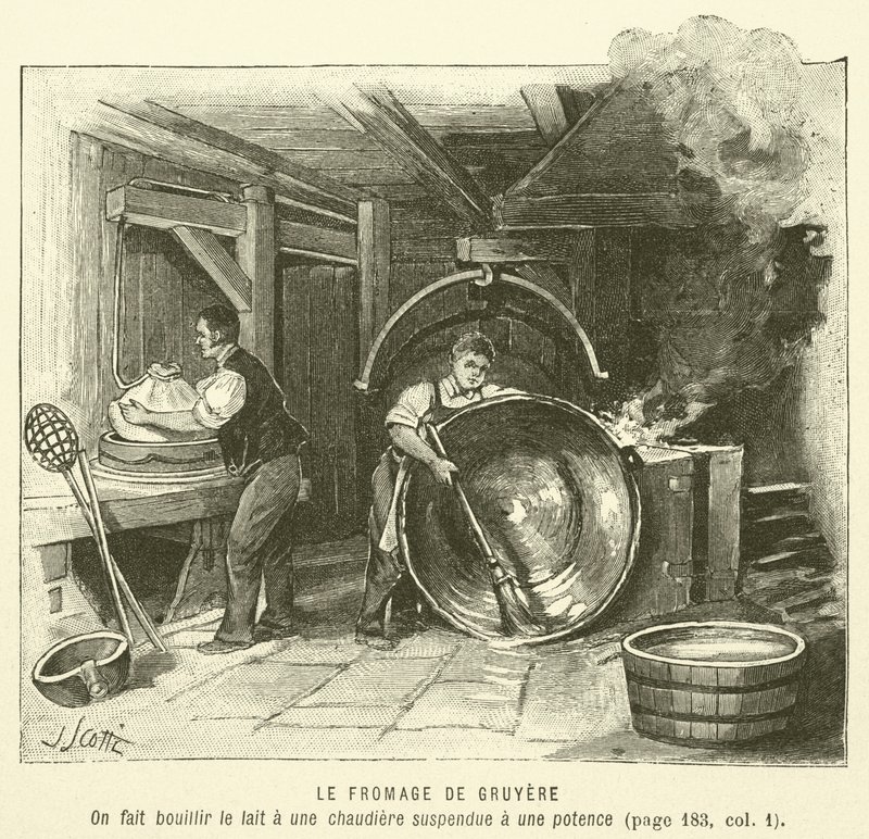 Sýr Gruyere (rytina) od French School