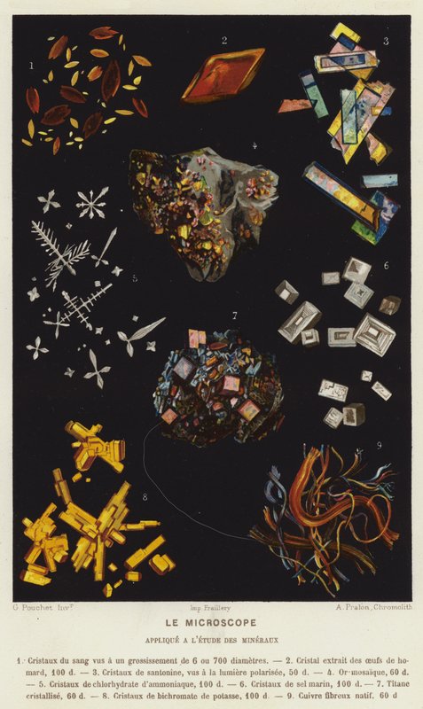 Le Microscope, Applique a l