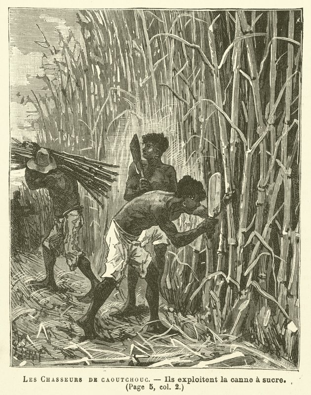 The Rubber Hunters (rytina) od French School