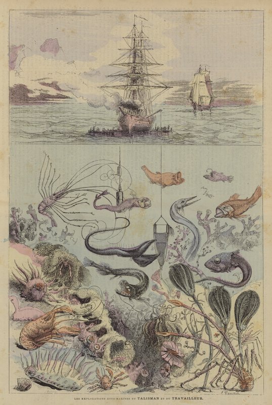Les Explorations Sous-Marines Du Talisman Et Du Travailleur (barevná litografie) od French School