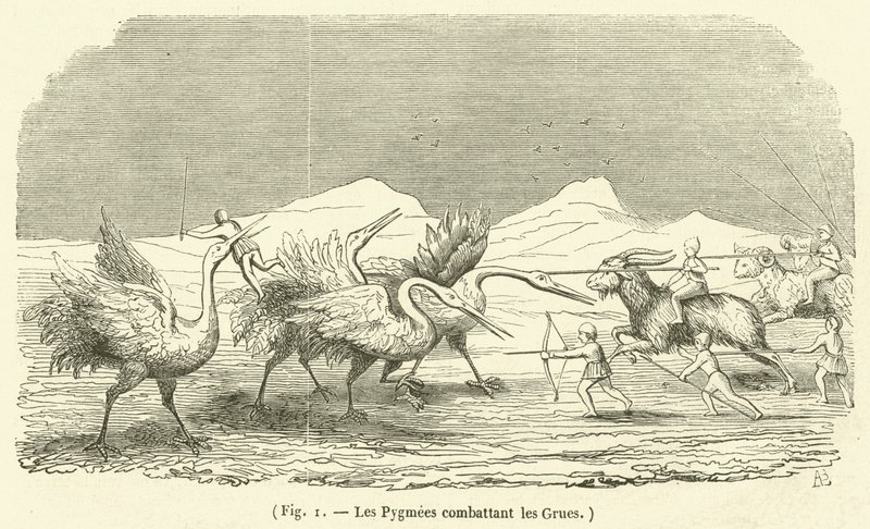 Pygmejové bojující s jeřáby (rytina) od French School