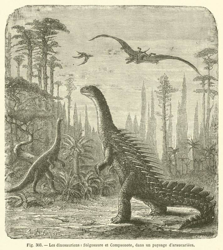 Dinosauři, Stegosaurus a Compsonote, v krajině Araucaria (rytina) od French School