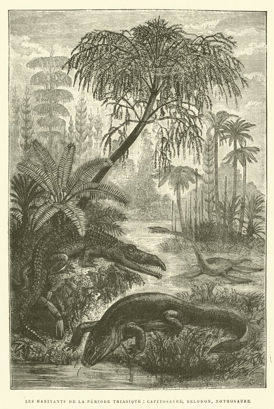 Obyvatelé období triasu, capitosaurus, belodon, nothosaurus (rytina) od French School