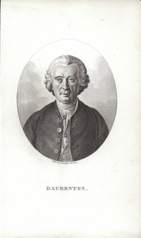 Louis-Jean-Marie Daubenton od French School