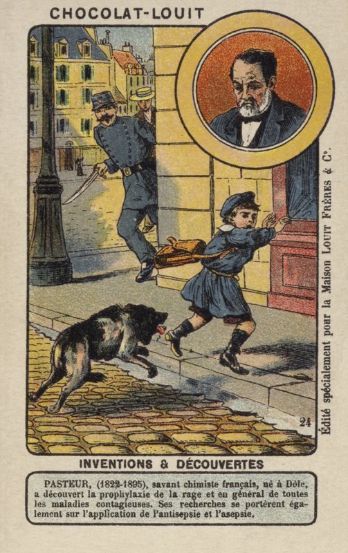 Louis Pasteur , francouzský chemik a mikrobiolog od French School
