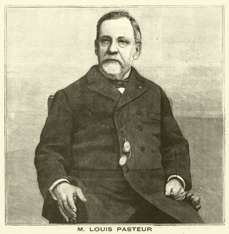 Louis Pasteur, francouzský mikrobiolog (rytina) od French School